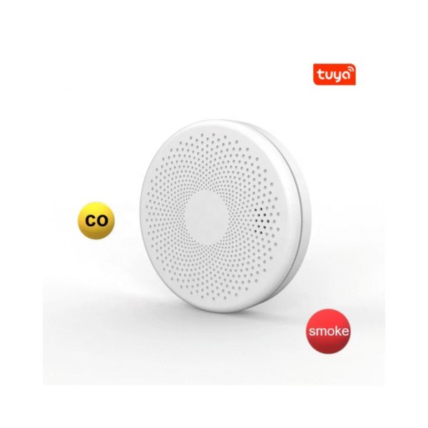 Smoke and Carbon Monoxide Detector Alarm