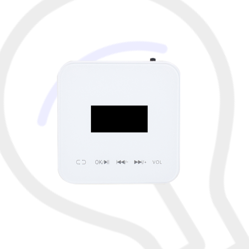 Mini Bluetooth Wall Amplifier Home Theater Sound System